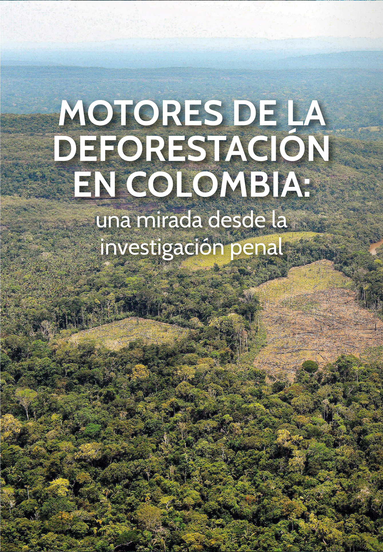 Imagen de portada del libro Motores de la deforestación en Colombia una mirada desde la investigación penal