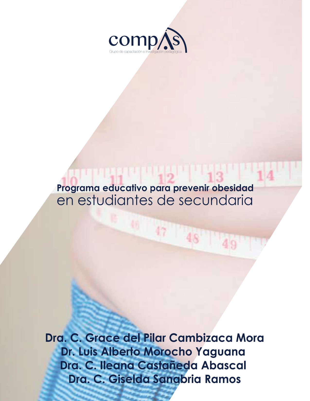 Imagen de portada del libro Programa educativo para prevenir obesidad en estudiantes de secundaria