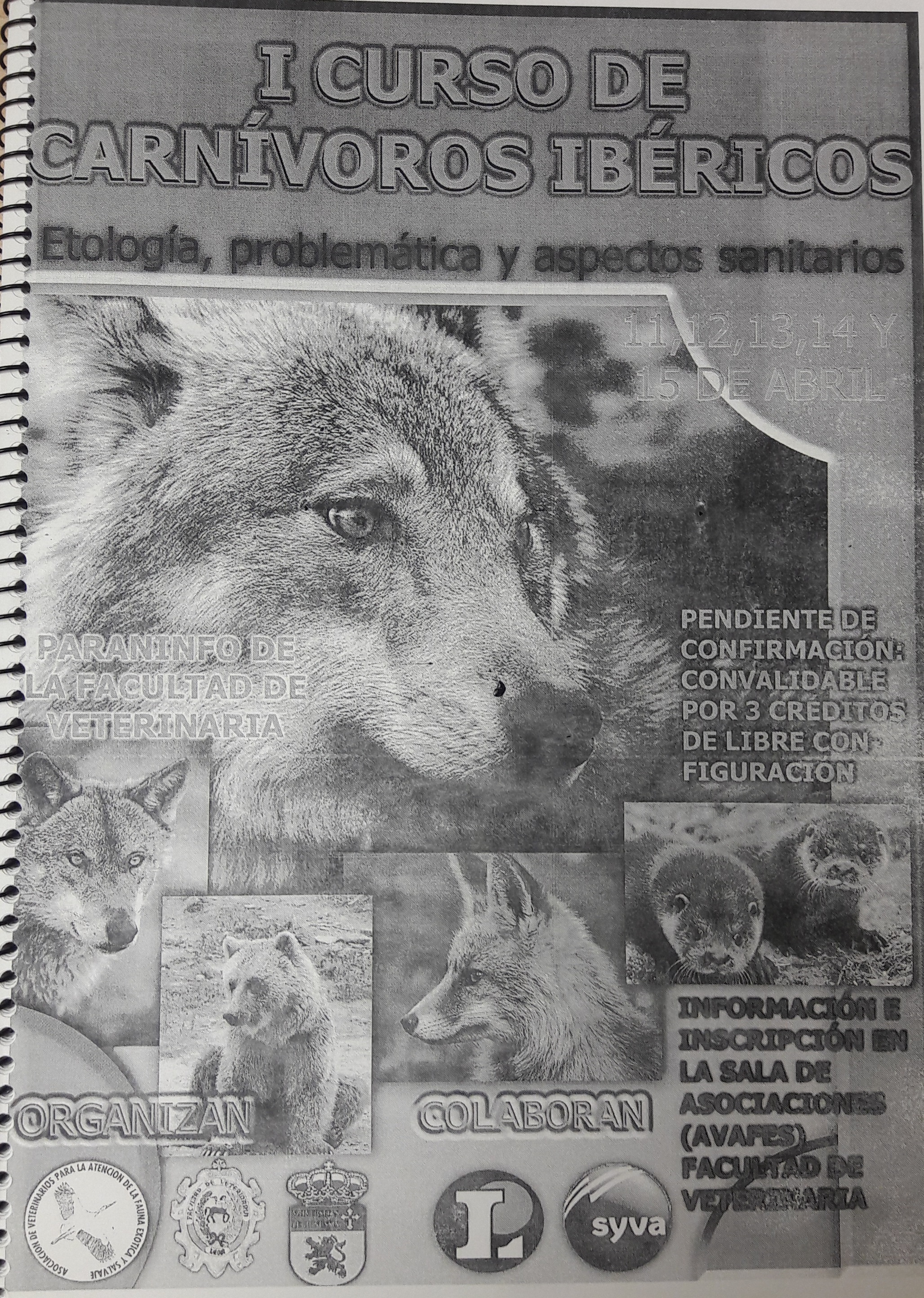 Imagen de portada del libro I Curso sobre carnívoros ibéricos