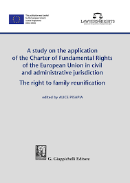 Imagen de portada del libro A study on the application of the Charter of Fundamental Rights of European Union in civil and administrative jurisdiction