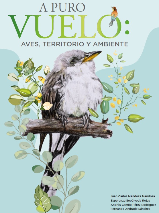 Imagen de portada del libro A Puro Vuelo