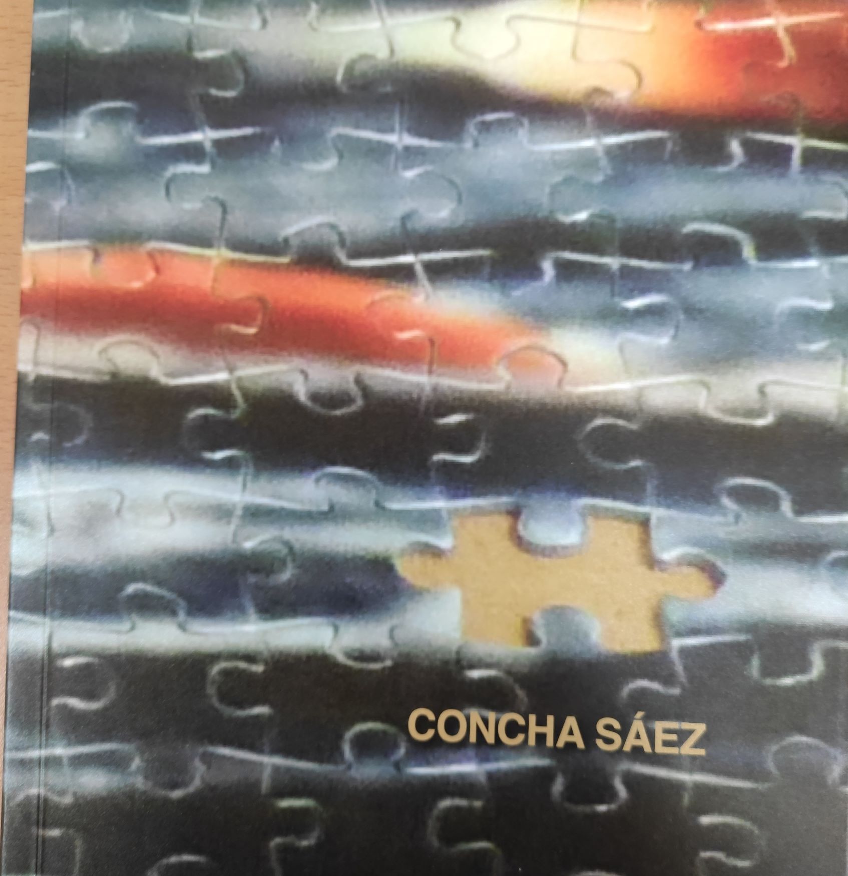 Imagen de portada del libro Puzle, la mirada atenta