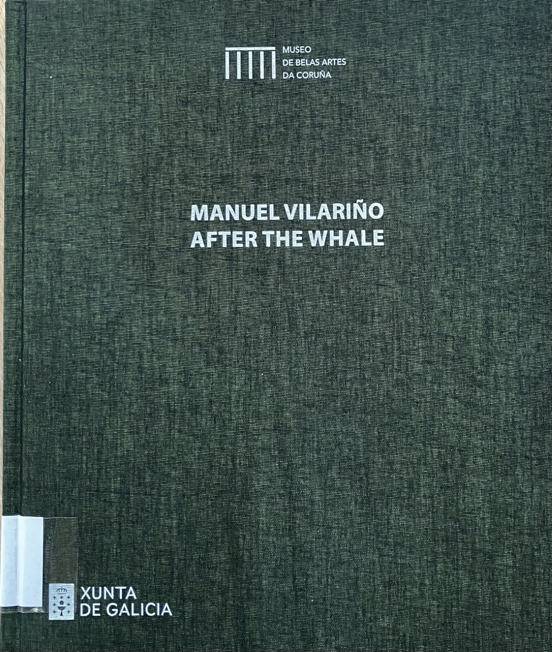 Imagen de portada del libro Manuel Vilariño. After the Whale