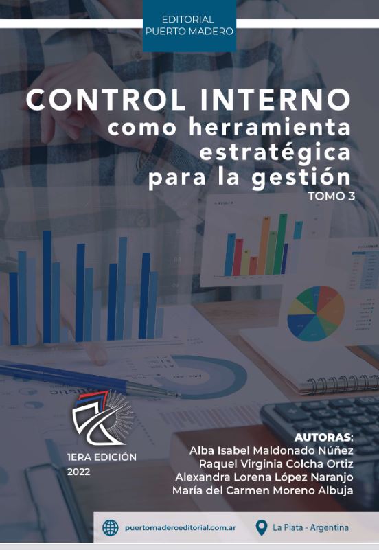Imagen de portada del libro Control interno como herramienta estratégica para la gestión