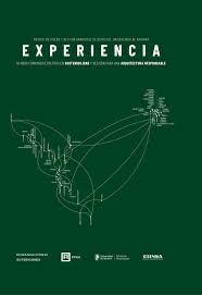 Imagen de portada del libro Experiencia