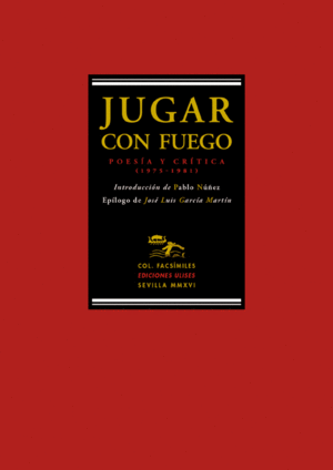 Imagen de portada del libro Jugar con fuego