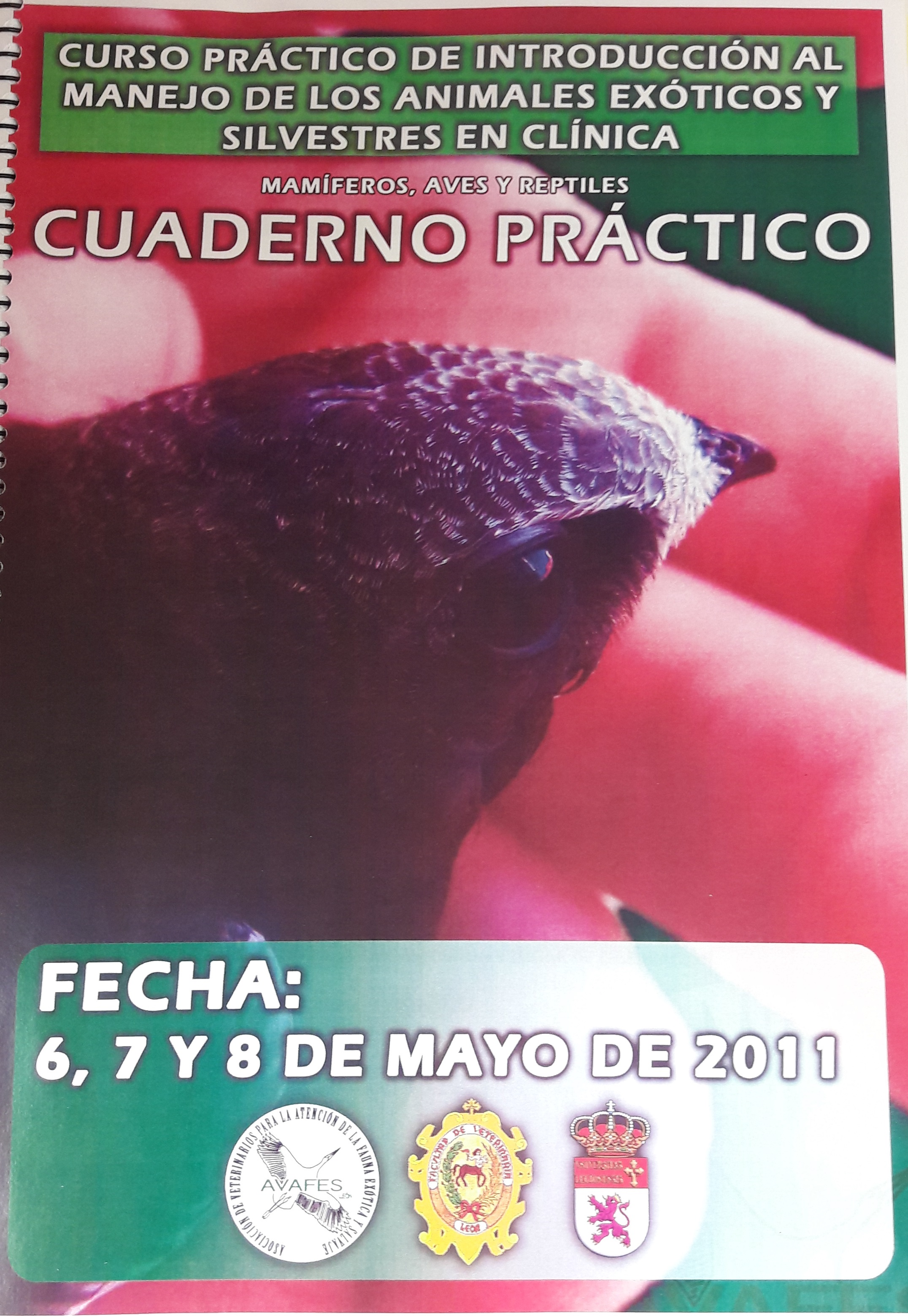 Imagen de portada del libro Curso práctico de iniciación al manejo de los animales exóticos y silvestres en clínica