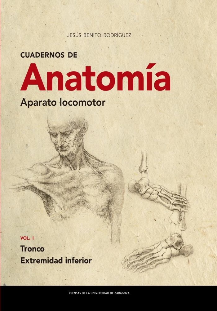 Imagen de portada del libro Cuadernos de anatomía