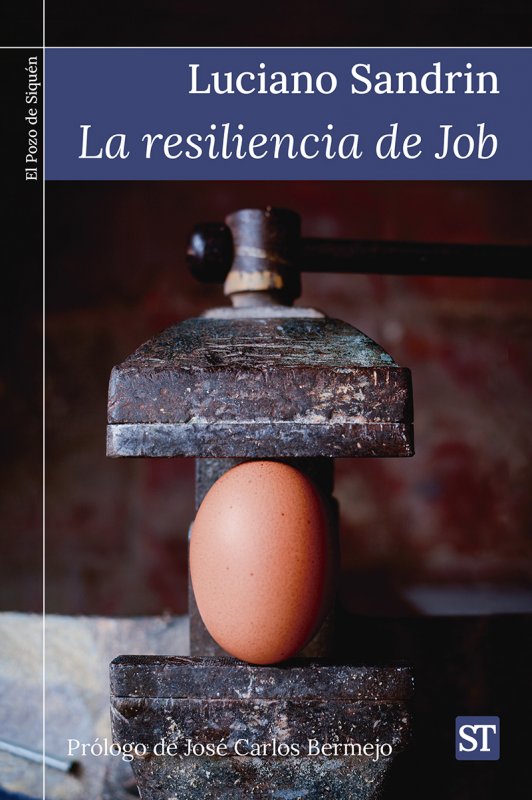 Imagen de portada del libro La resiliencia de Job