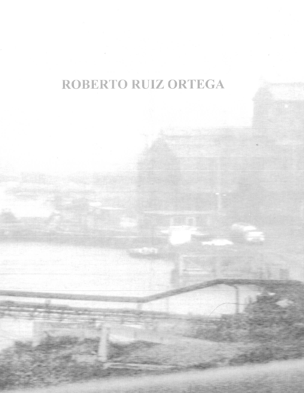 Imagen de portada del libro Roberto Ruiz Ortega