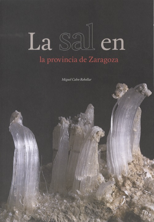 Imagen de portada del libro La sal en la provincia de Zaragoza