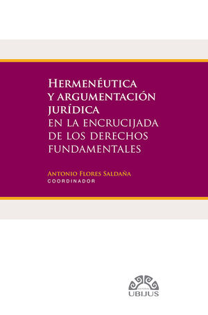 Imagen de portada del libro Hermenéutica y argumentación jurídica en la encrucijada de los derechos fundamentales