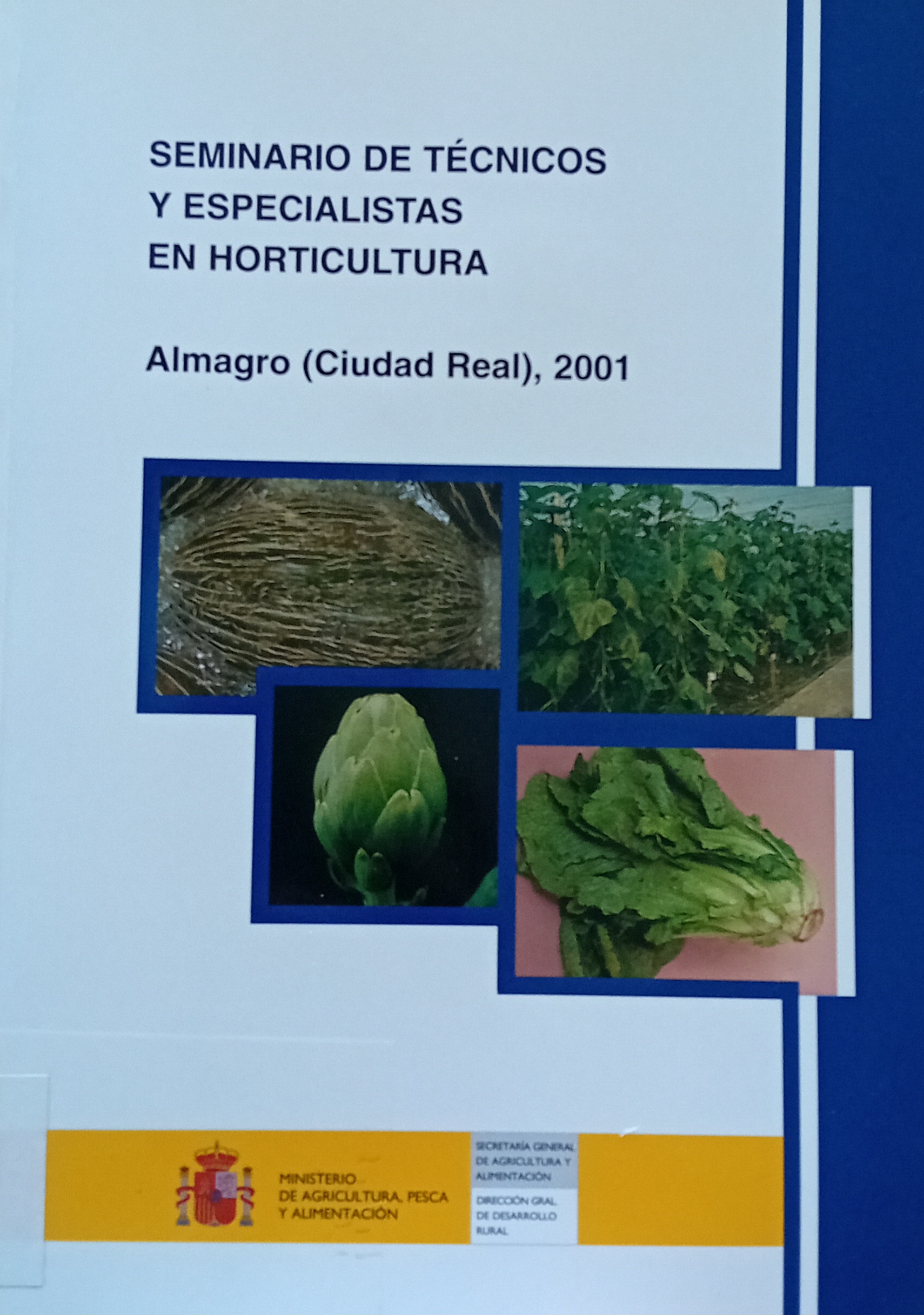 Imagen de portada del libro XXXI Seminario de Técnicos y Especialistas en Horticultura