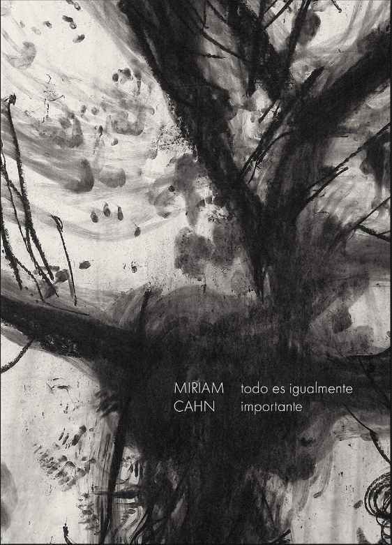 Imagen de portada del libro Miriam Cahn