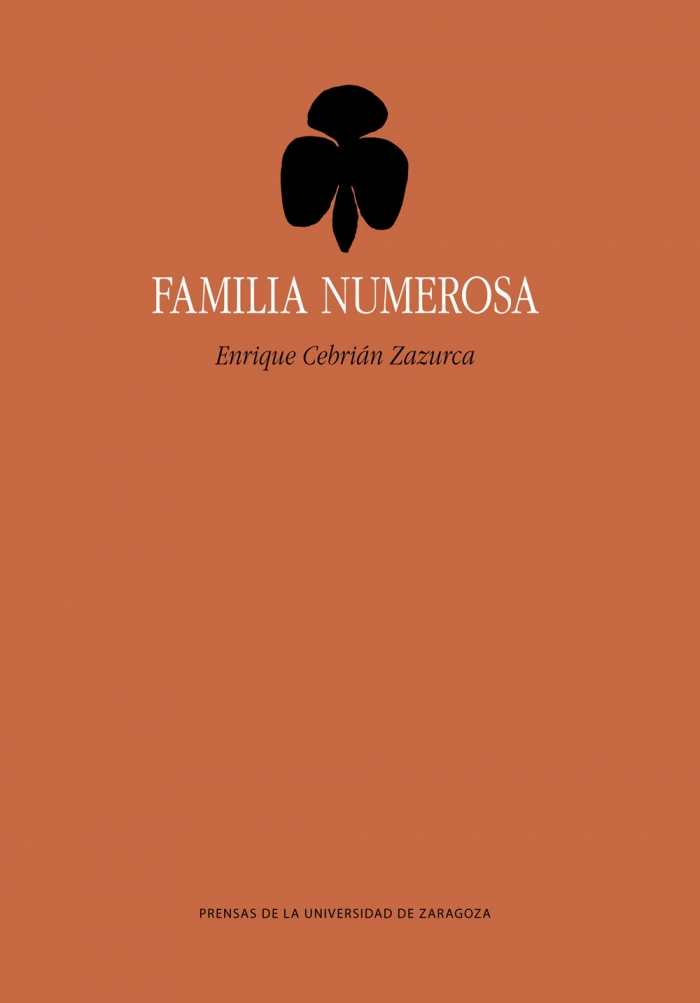 Imagen de portada del libro Familia numerosa