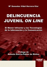 Imagen de portada del libro Delincuencia juvenil on line