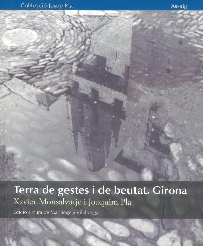 Imagen de portada del libro Terra de gestes i de beutat, Girona