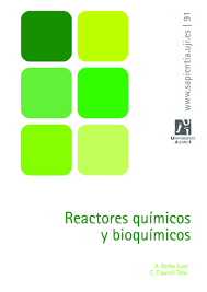 Imagen de portada del libro Reactores químicos y bioquímicos
