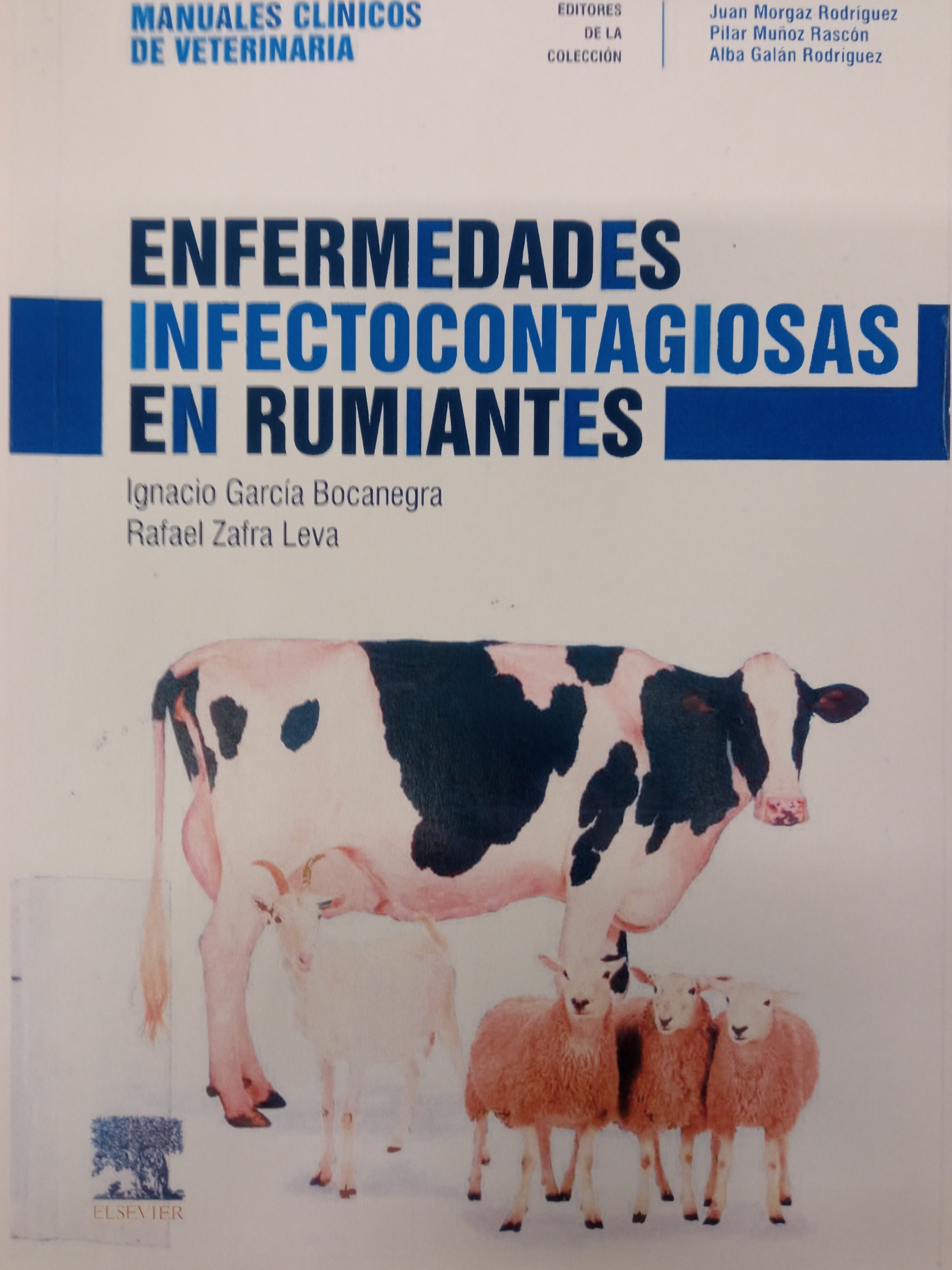 Imagen de portada del libro Enfermedades infectocontagiosas en rumiantes