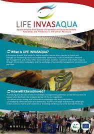 Imagen de portada del libro Aquatic invasive alien species of freshwater and estuarine systems