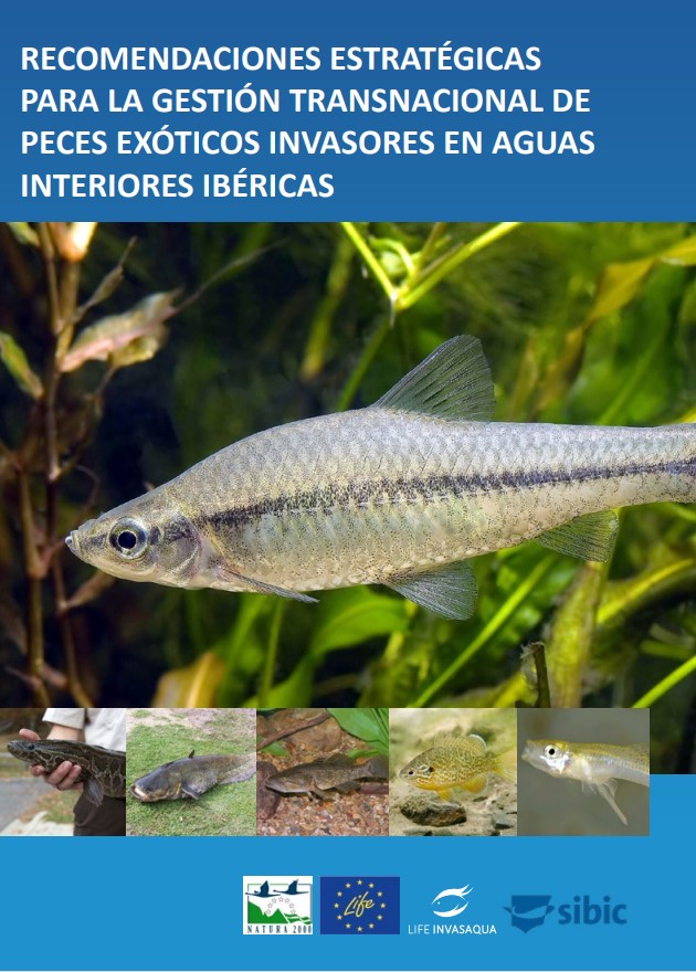 Imagen de portada del libro Recomendaciones estratégicas para la gestión transnacional de peces exóticos invasores en aguas interiores ibéricas