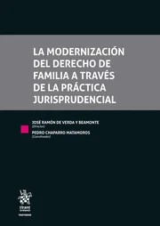 Imagen de portada del libro La modernización del derecho de familia a través de la práctica jurisprudencial