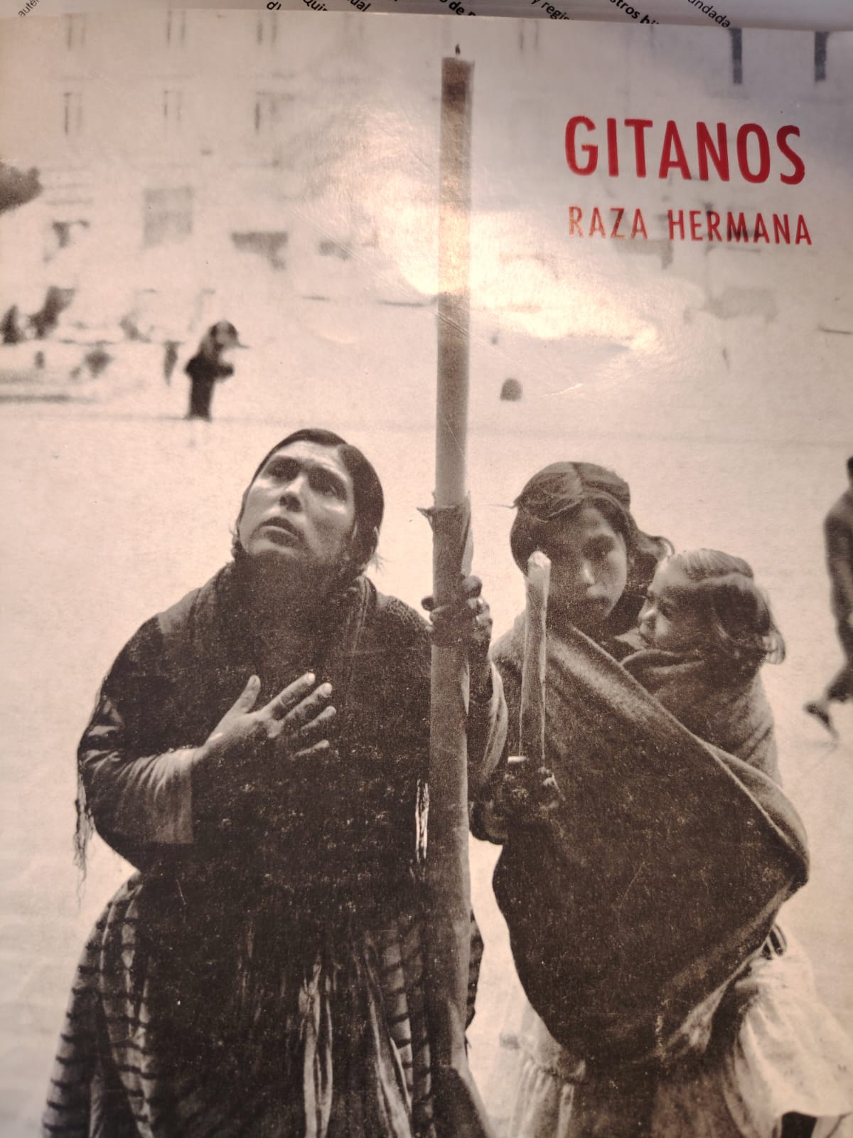 Imagen de portada del libro Gitanos :