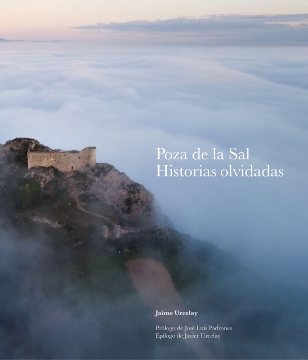 Imagen de portada del libro Poza de la Sal