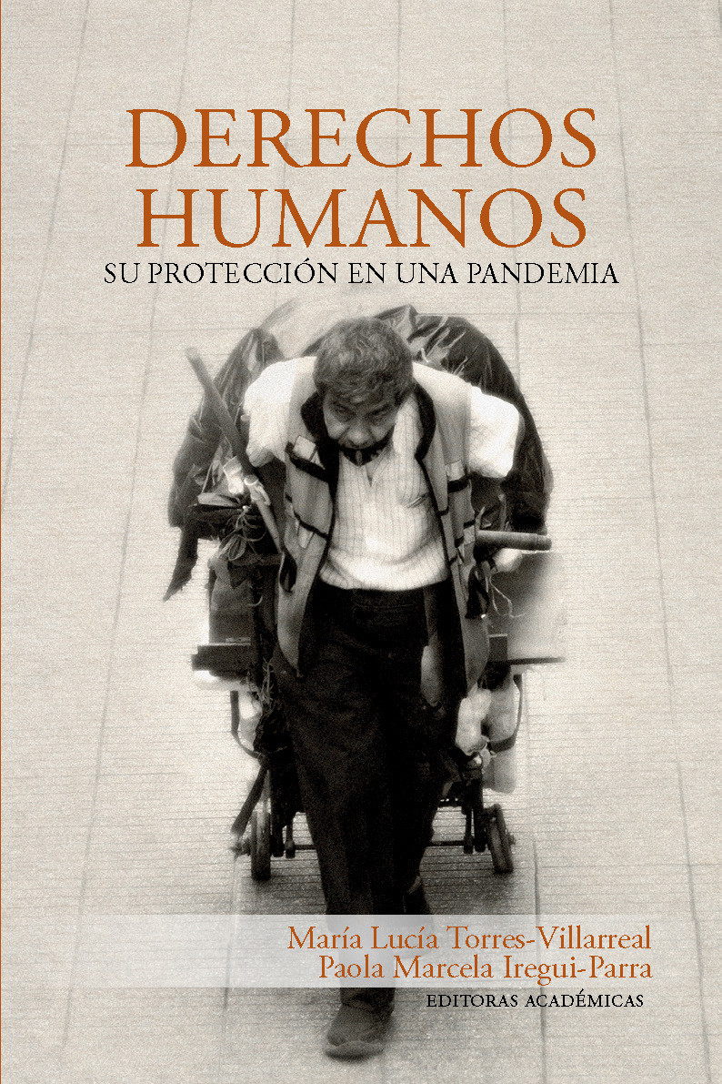 Imagen de portada del libro Derechos humanos: Su protección en una pandemia