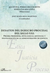 Imagen de portada del libro Desafíos del derecho procesal del siglo XXI