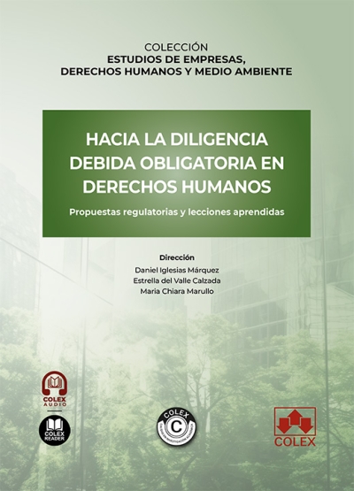 Imagen de portada del libro Hacia la diligencia debida obligatoria en derechos humanos