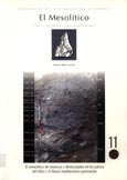 Imagen de portada del libro El Mesolítico de muescas y denticulados en la cuenca del Ebro y el litoral mediterráneo peninsular