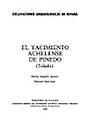 Imagen de portada del libro El yacimiento achelense de Pinedo (Toledo)