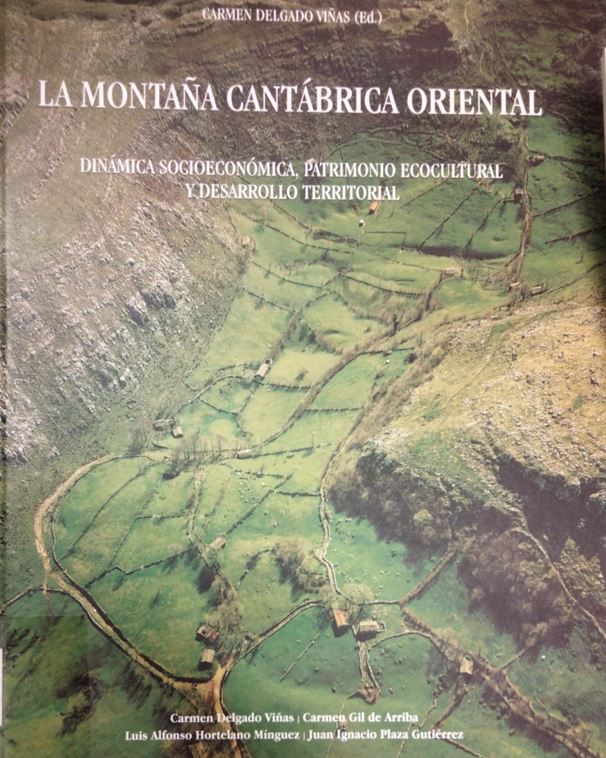 Imagen de portada del libro La montaña cantábrica oriental