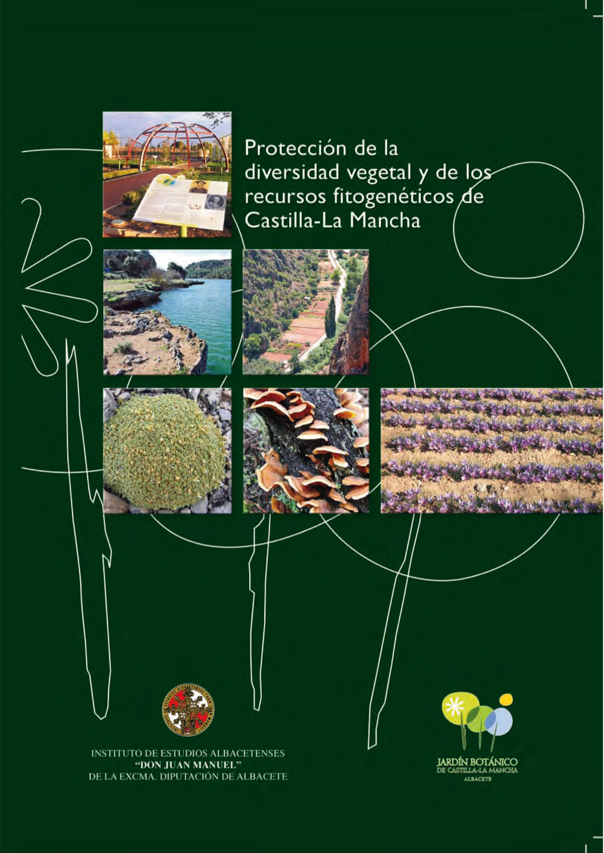 Imagen de portada del libro Protección de la diversidad vegetal y de los recursos fitogenéticos en Castilla-La Mancha