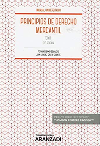 Imagen de portada del libro Principios de derecho mercantil