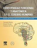 Imagen de portada del libro Conectividad funcional y anatómica en el cerebro humano