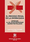 Imagen de portada del libro El proceso penal en la encrucijada