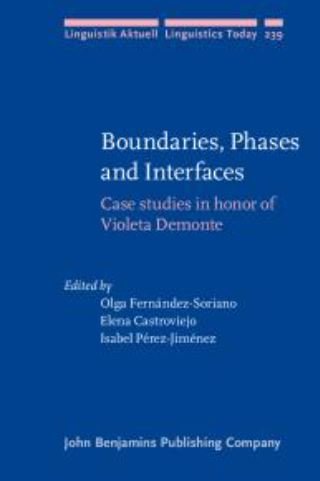 Imagen de portada del libro Boundaries, phases and interfaces