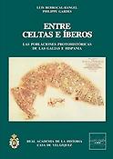 Imagen de portada del libro Entre celtas e íberos : las poblaciones protohistóricas de las Galias e Hispania