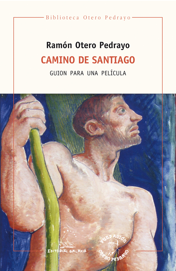 Imagen de portada del libro Camino de Santiago