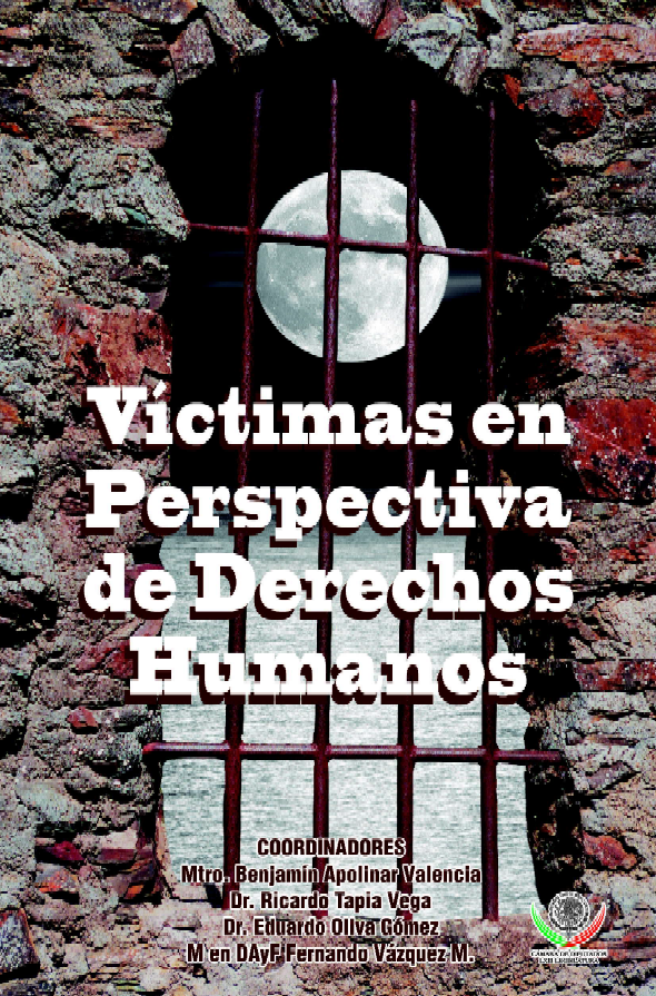 Imagen de portada del libro Víctimas en Perspectiva de Derechos Humanos