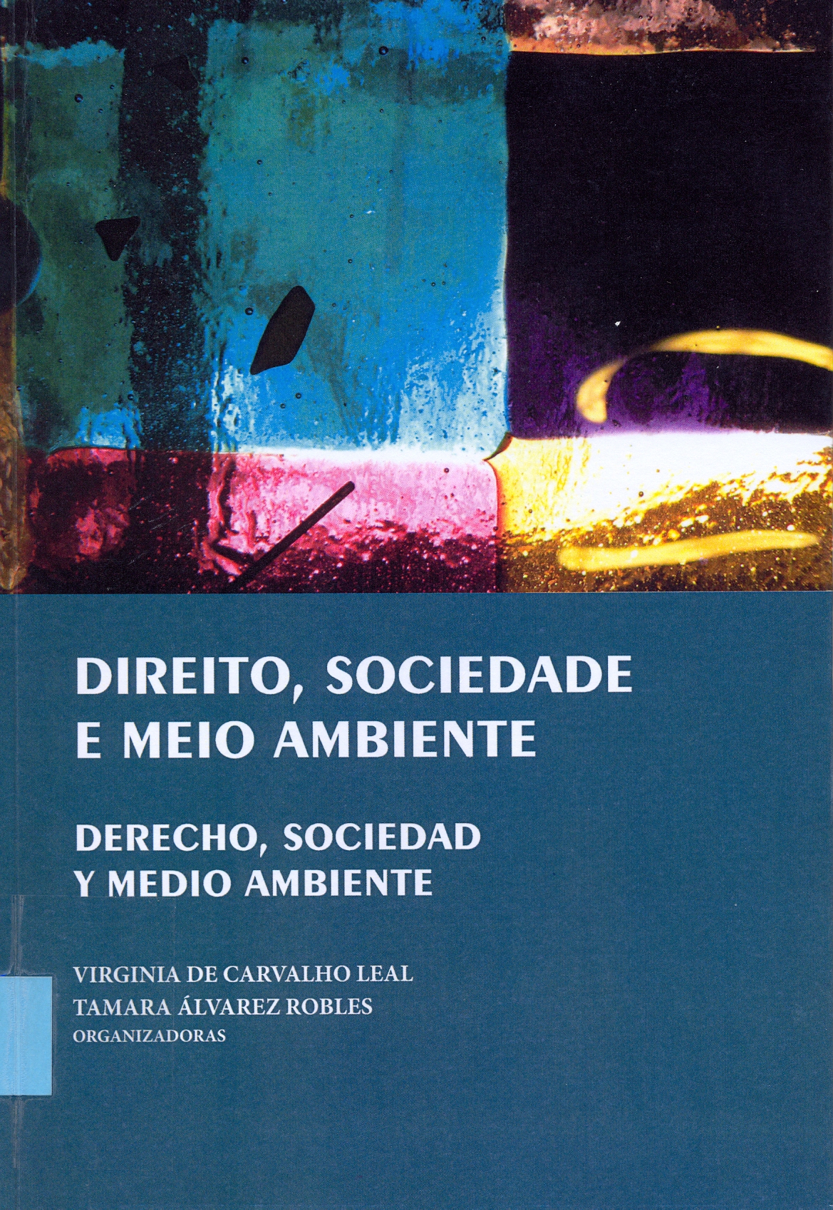 Imagen de portada del libro Direito, sociedade e meio ambiente