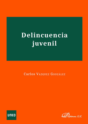 Imagen de portada del libro Delincuencia juvenil