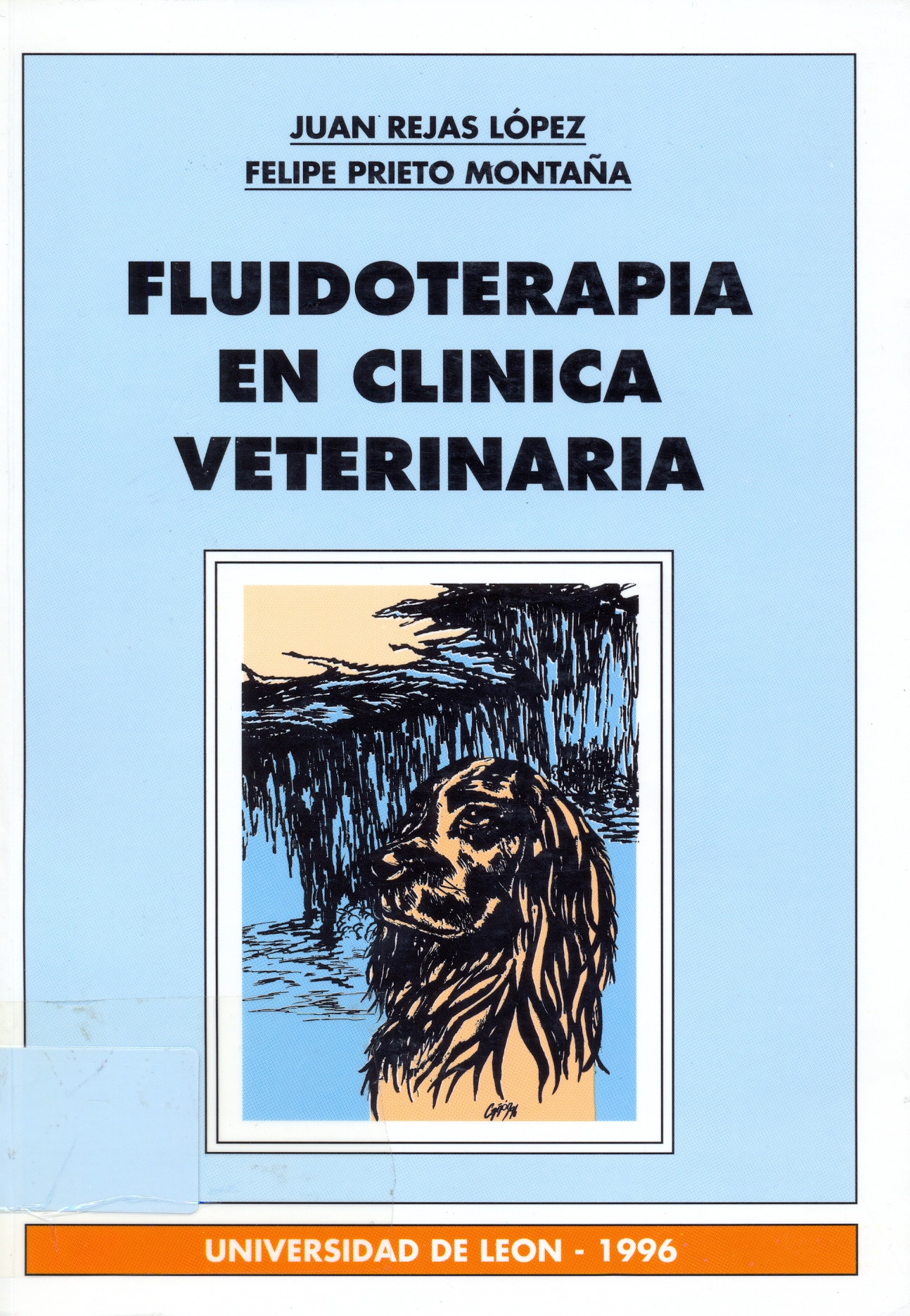 Imagen de portada del libro Fluidoterapia en clínica veterinaria