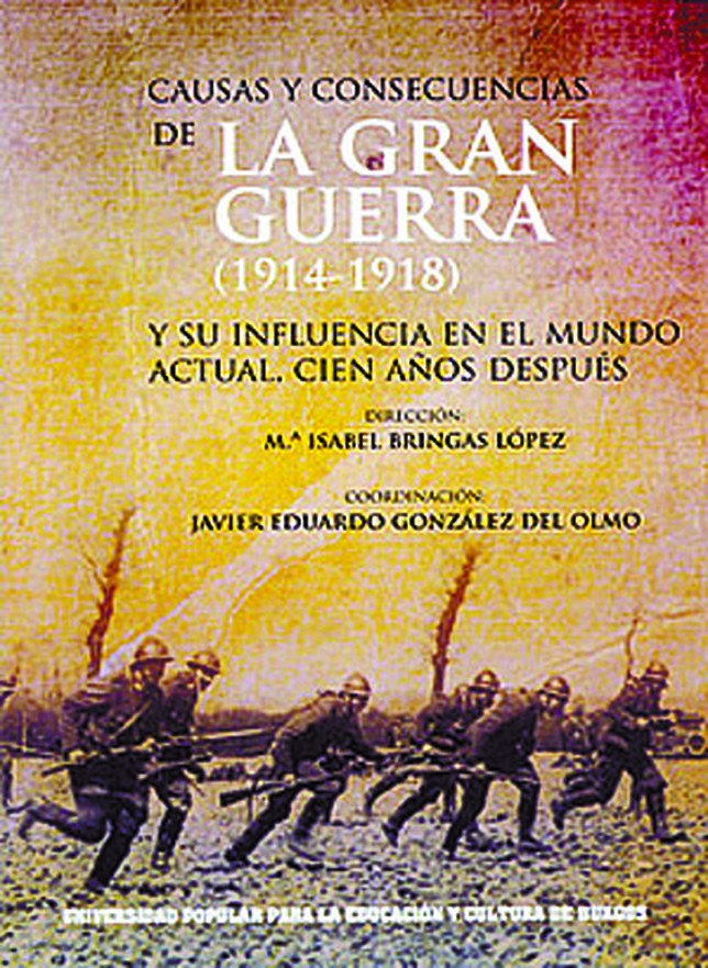 Imagen de portada del libro Causas y consecuencias de la Gran Guerra (1914-1918) y su influencia en el mundo actual
