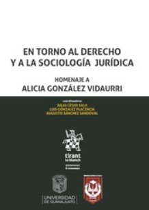 Imagen de portada del libro En torno al derecho y a la sociología jurídica
