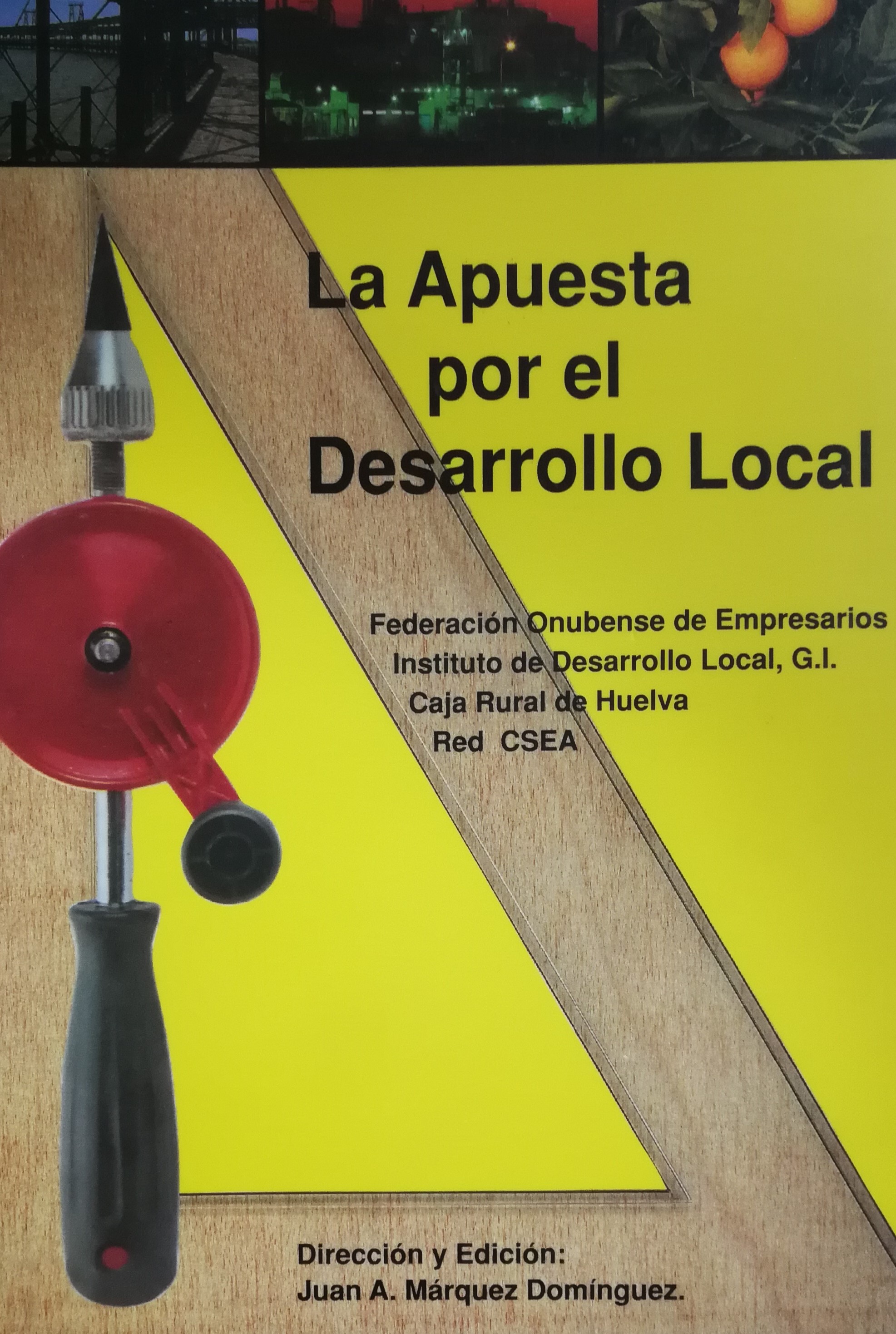 Imagen de portada del libro La apuesta por el desarrollo local