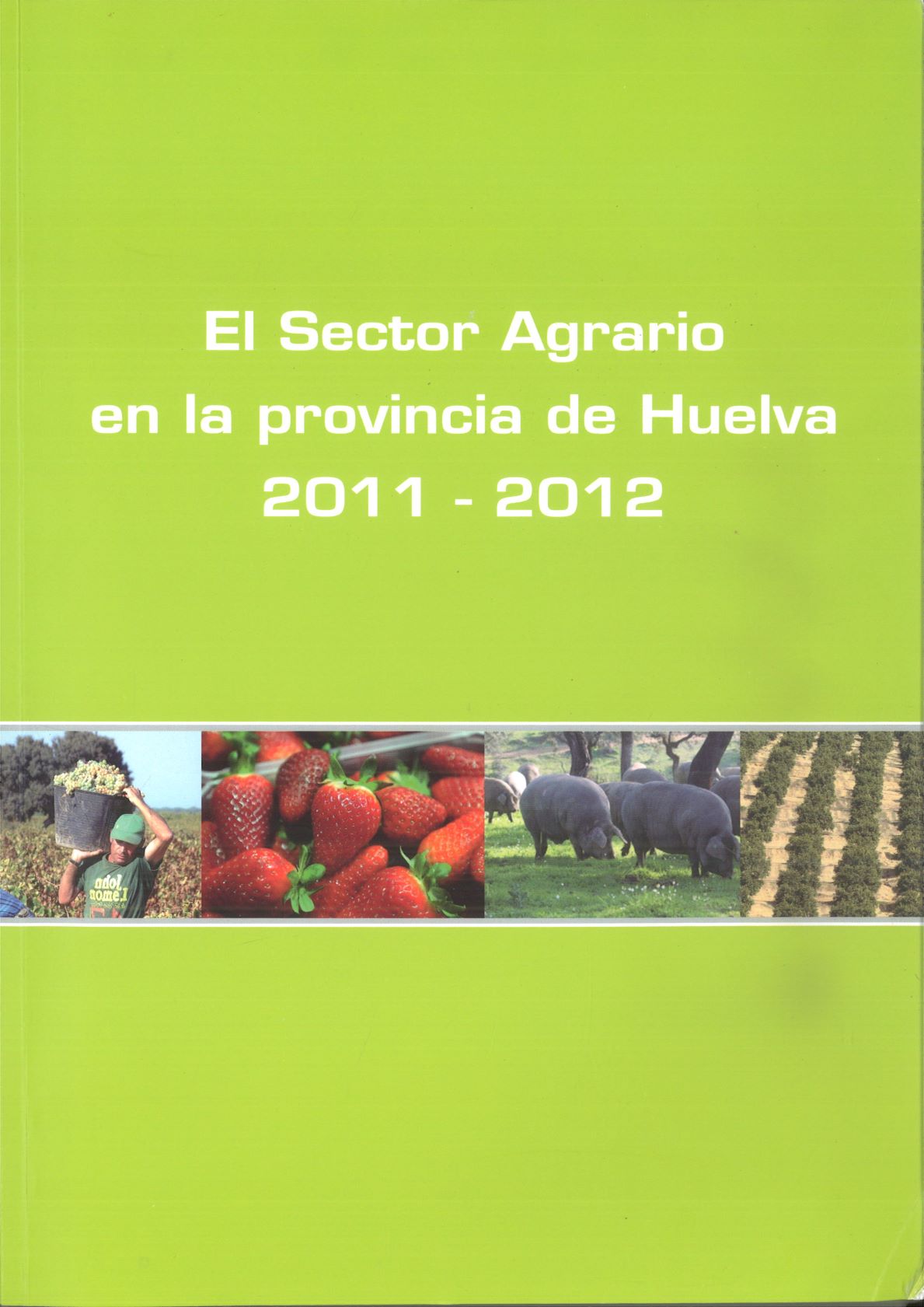 Imagen de portada del libro El Sector Agrario en la provincia de Huelva 2011-2012