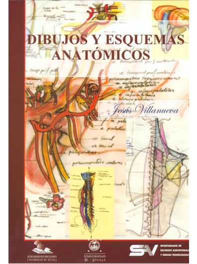 Imagen de portada del libro Dibujos y esquemas anatómicos